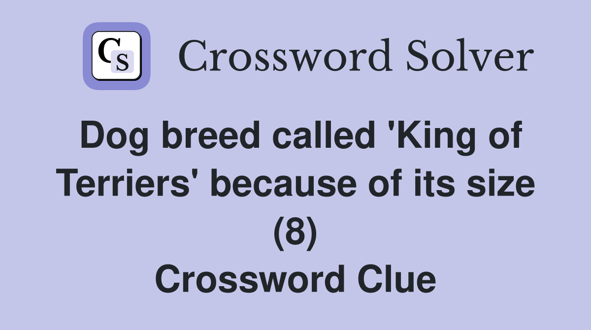 Dog breed called 'King of Terriers' because of its size (8) Crossword